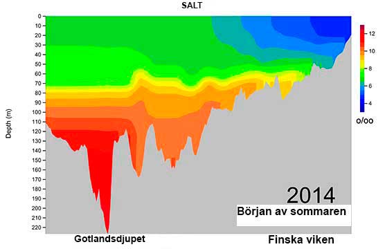 Saltprofil2014